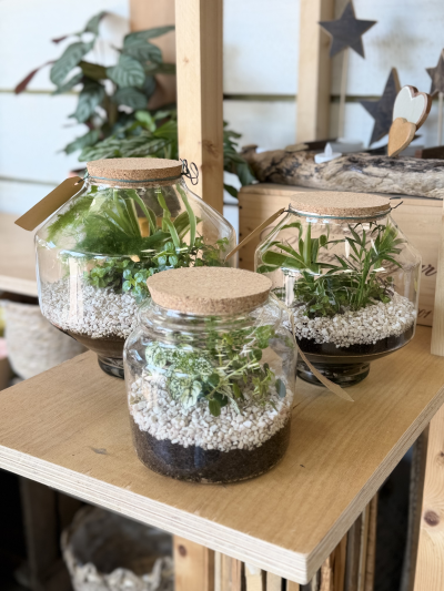 Glass Terrarium - A terrarium is a miniature indoor garden, beautifully arranged within glass to create a self-contained world of greenery. Lush plants, natural textures, and delicate details come together to form a living display that feels both modern and enchanting. Easy to care for and perfect for small spaces, a terrarium brings a calming, nature-inspired touch to any home or workspace.
